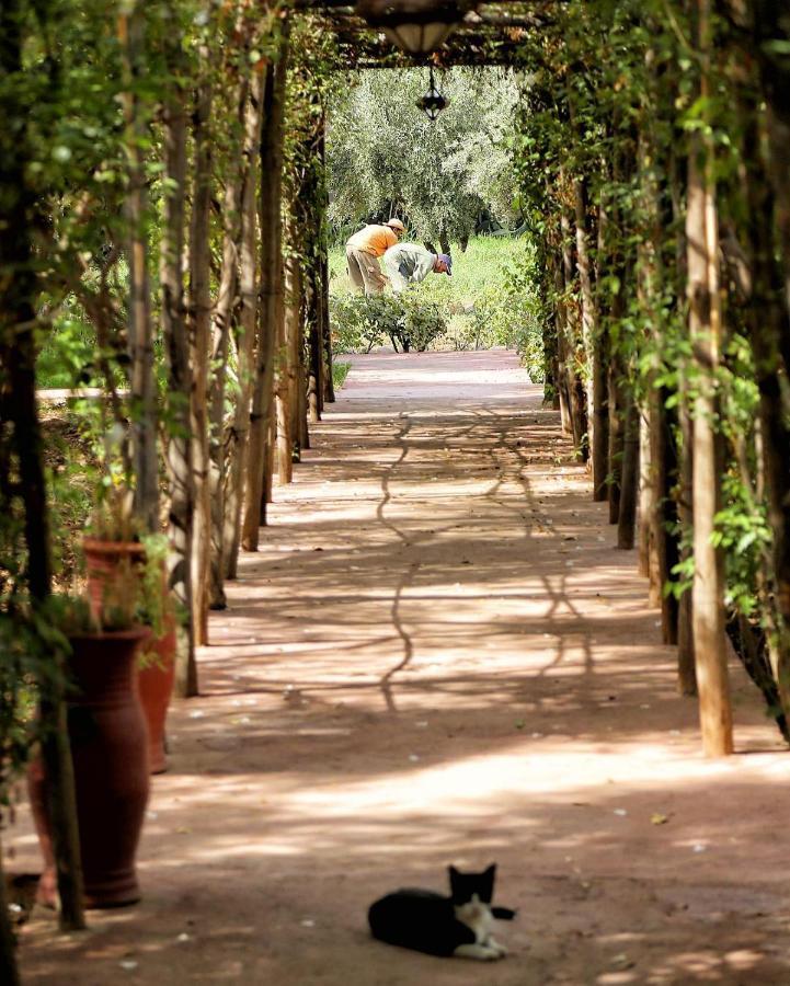 Bed and Breakfast La Ferme Berbere El Harkat Exterior foto
