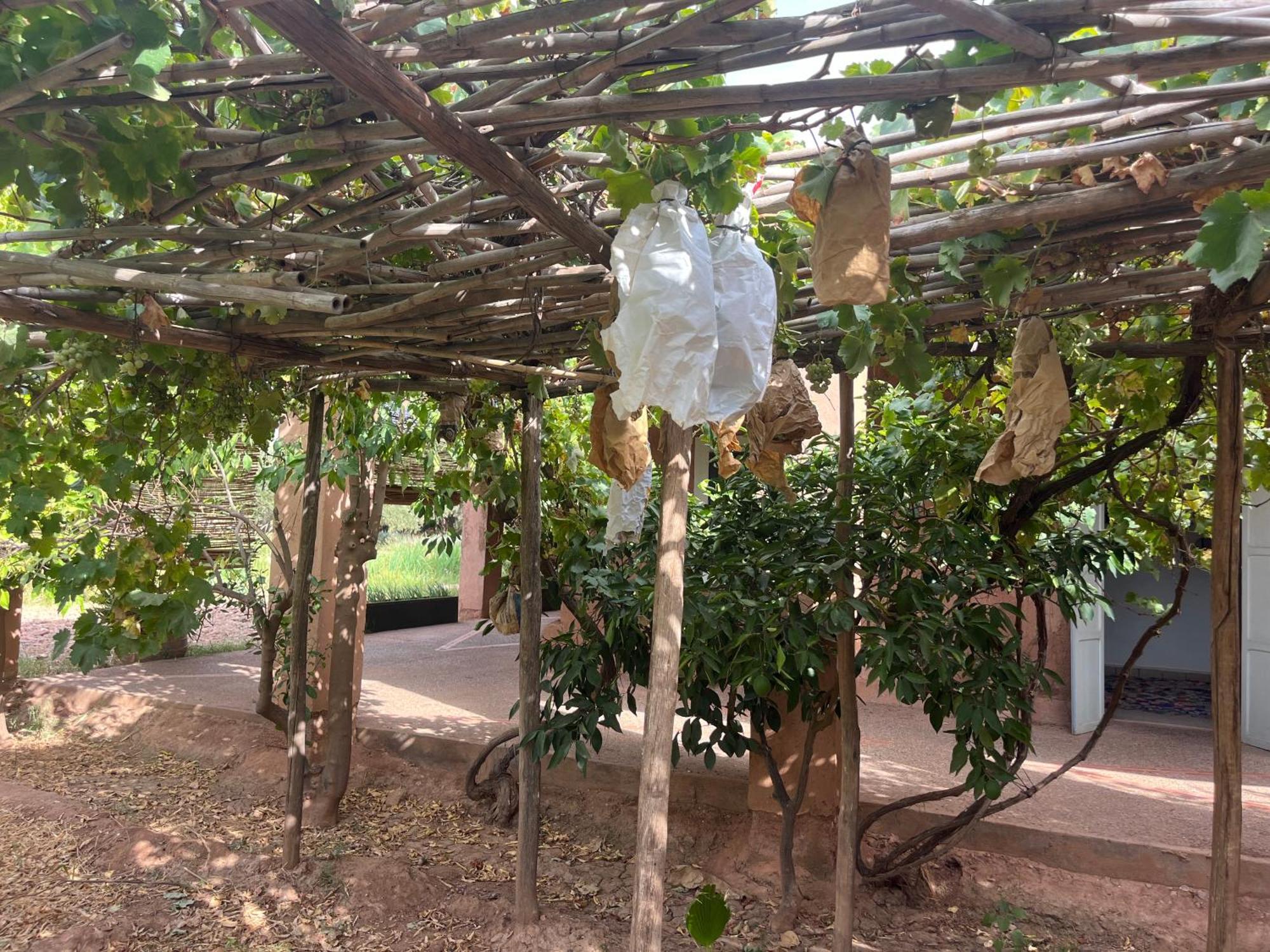 Bed and Breakfast La Ferme Berbere El Harkat Exterior foto