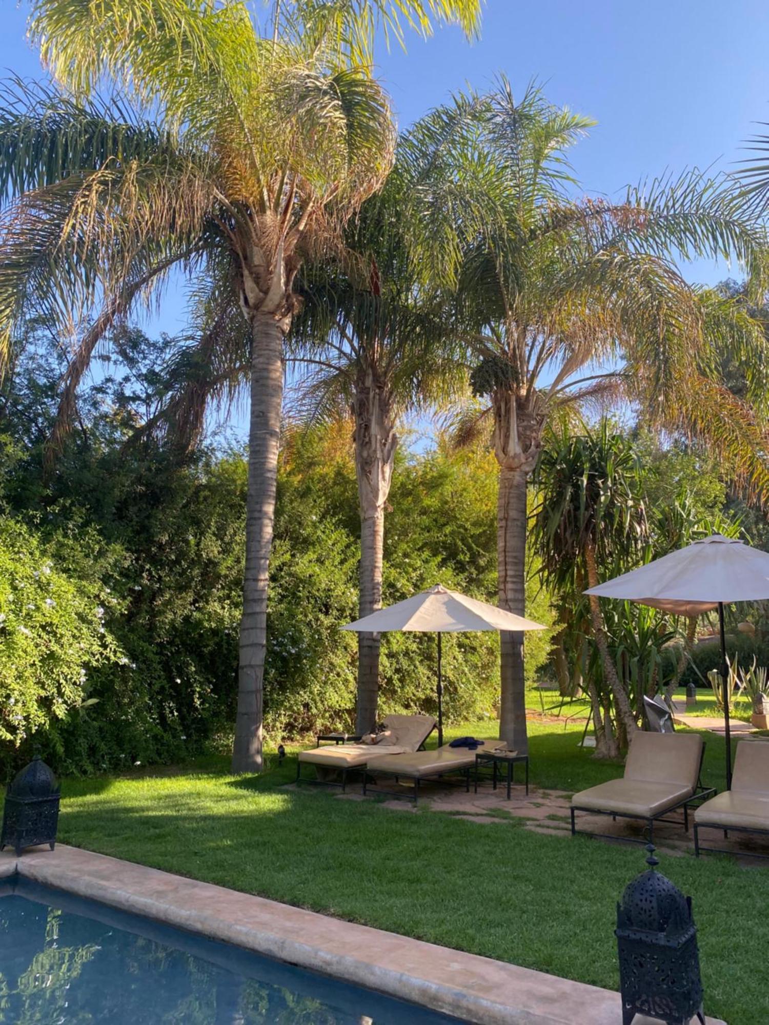 Bed and Breakfast La Ferme Berbere El Harkat Exterior foto
